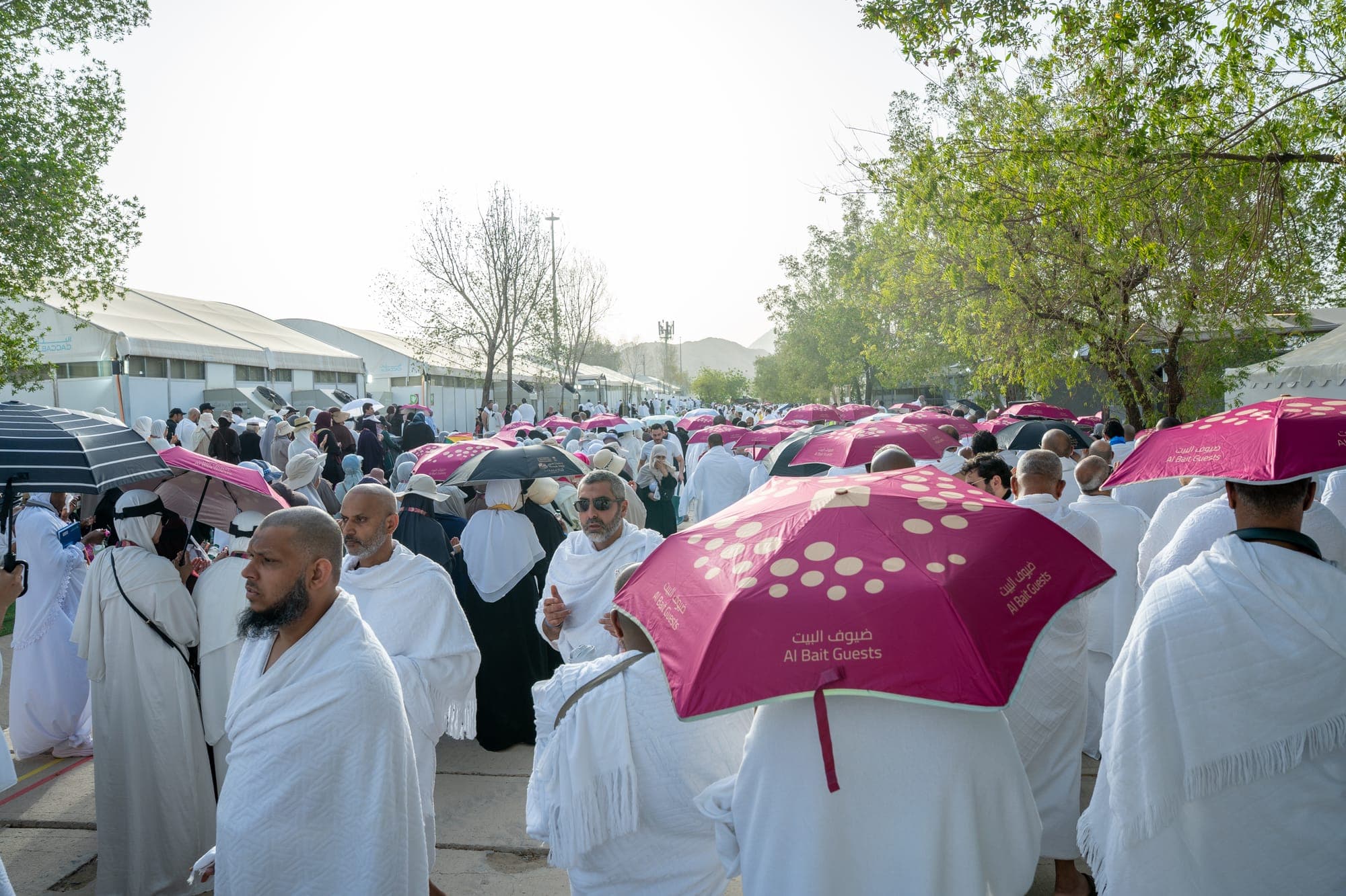 A moment from the Hajj journey with Al Bait Guests